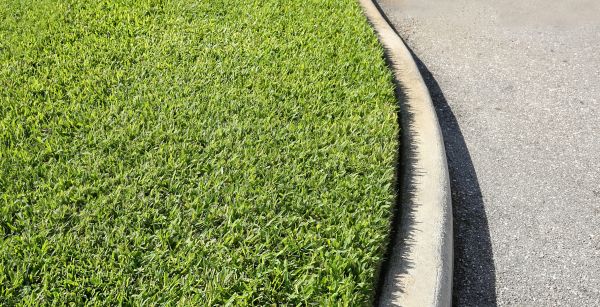 Cost of Street Curb Repair in Auburn