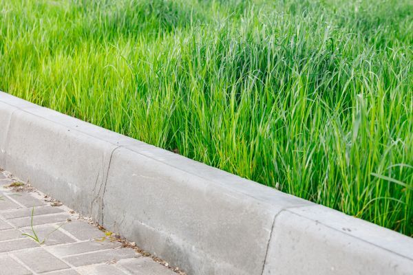 Concrete Curb Repair in Auburn