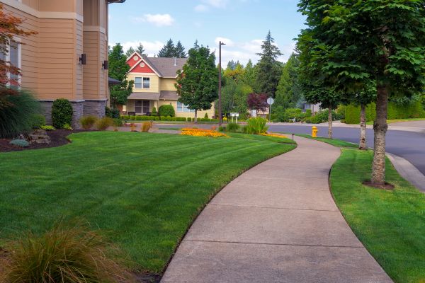 Sidewalk Patching in Auburn