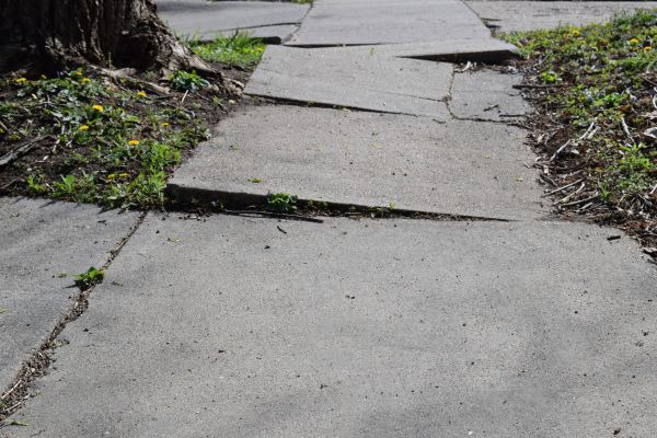 Trip Hazard Removal in Auburn